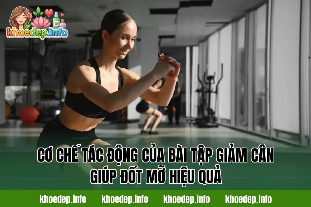 Cơ chế tác động của bài tập giảm cân giúp đốt mỡ hiệu quả