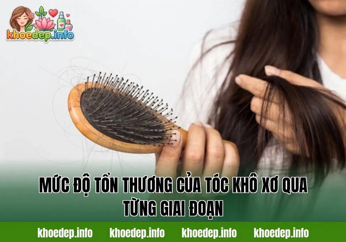 Mức độ tổn thương của tóc khô xơ qua từng giai đoạn