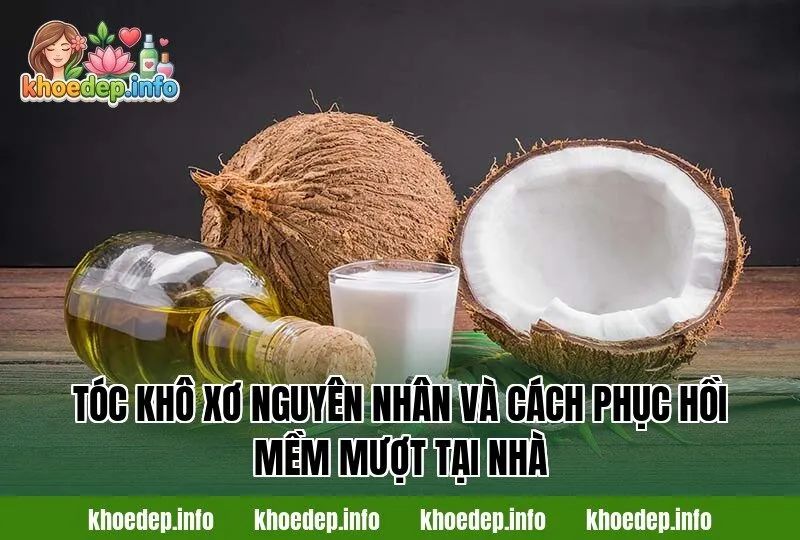 tóc khô xơ nguyên nhân và cách phục hồi mềm mượt tại nhà