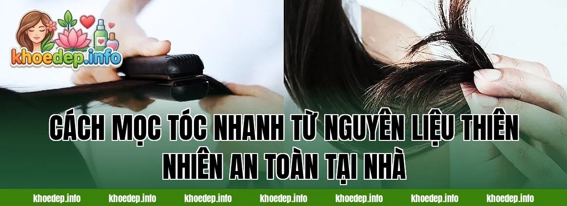 Cách mọc tóc nhanh từ nguyên liệu thiên nhiên an toàn tại nhà