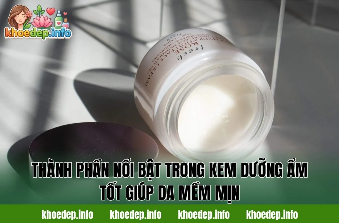 thành phần nổi bật trong kem dưỡng ẩm tốt giúp da mềm mịn