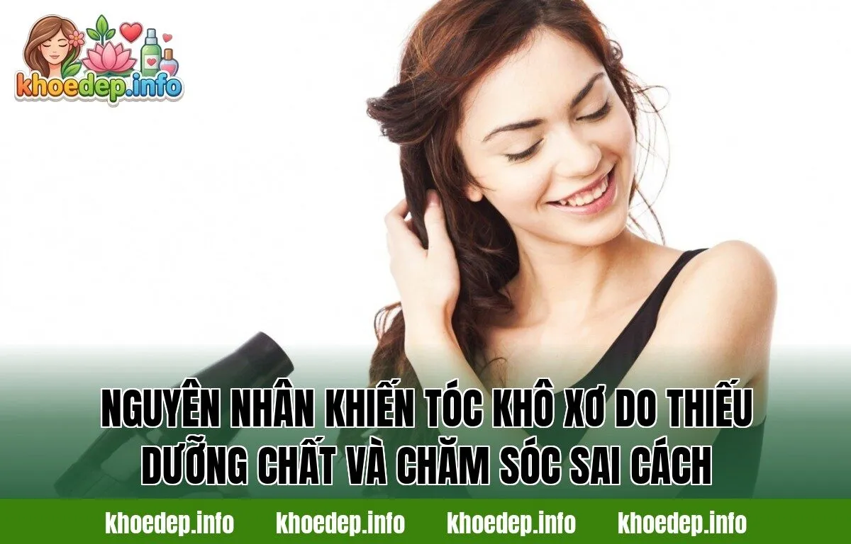 Nguyên nhân khiến tóc khô xơ do thiếu dưỡng chất và chăm sóc sai cách