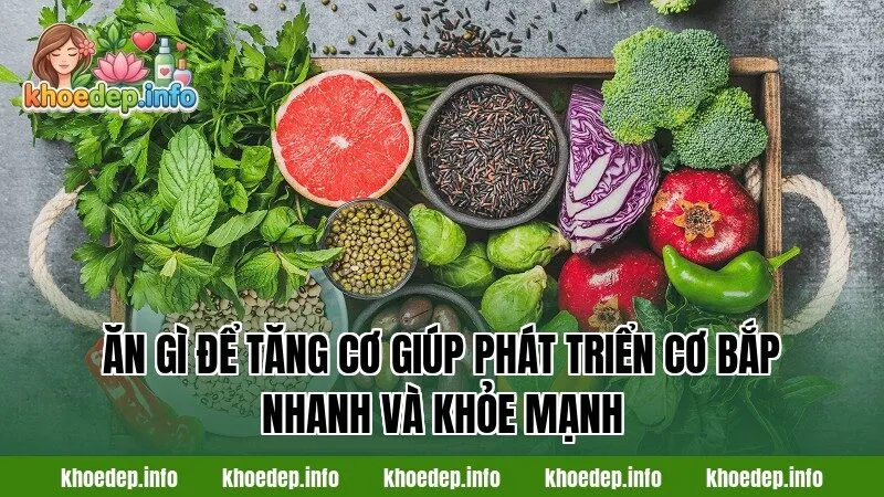 Ăn gì để tăng cơ giúp phát triển cơ bắp nhanh và khỏe mạnh
